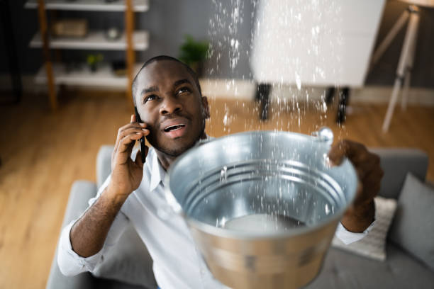 Water damage restoration mold remediation in Windsor, CA