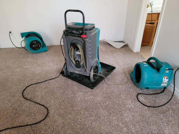 Trusted Windsor, CA Water damage restoration Experts