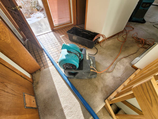 Best Carpet water damage restoration  in Windsor, CA