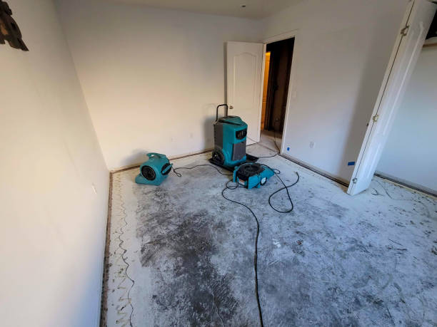 Best 24-hour water damage restoration  in Windsor, CA