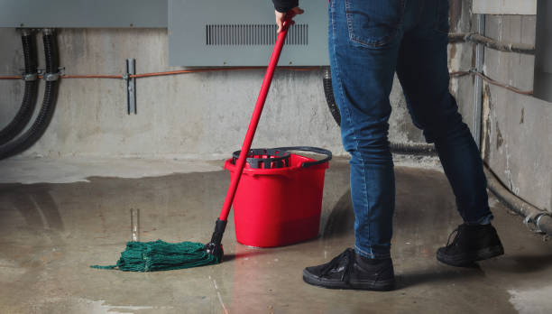 Best Professional water damage repair  in Windsor, CA