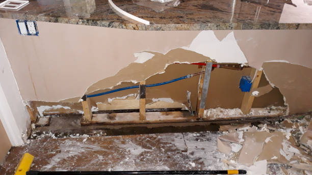 Best Mold removal after water damage  in Windsor, CA