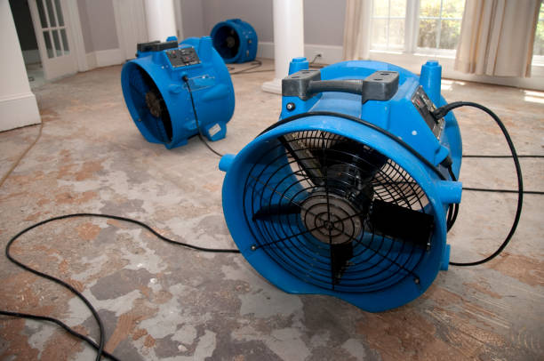 Carpet water damage restoration in Windsor, CA