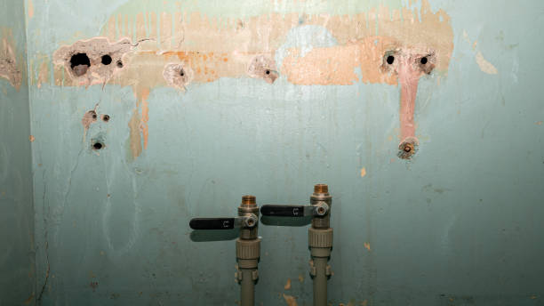 Best Ceiling water damage repair  in Windsor, CA